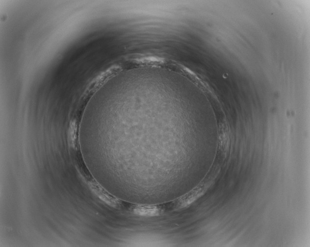 X0000085260767200703231715