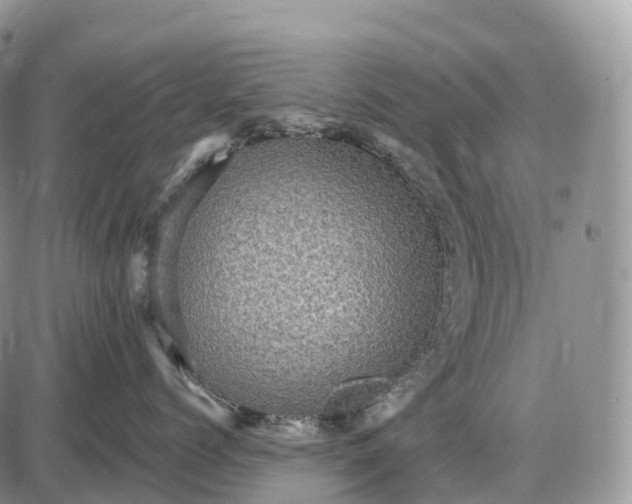 X0000085260768200703231715