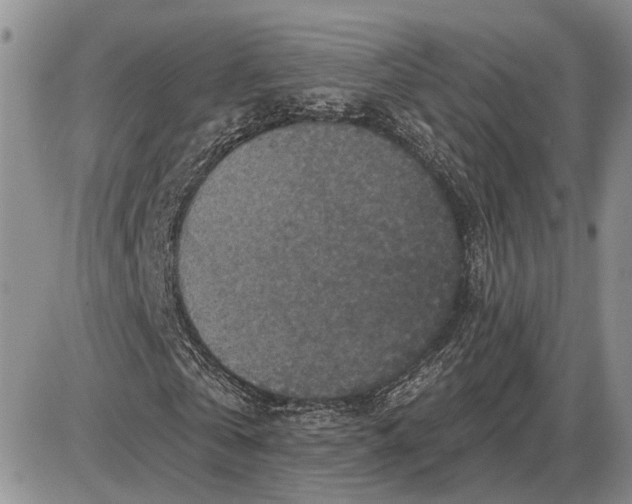 X0000085260769200703231714