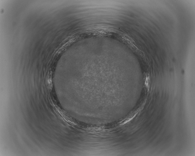 X0000085260771200703231714