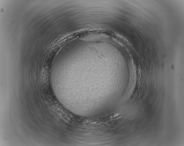 X0000085260773200703231714