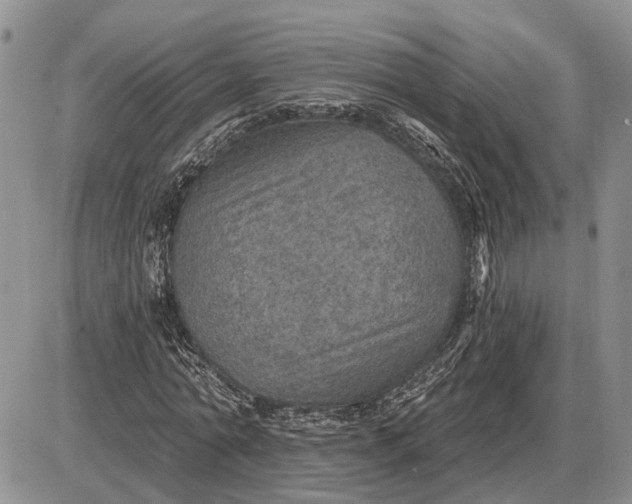 X0000085260774200703231714