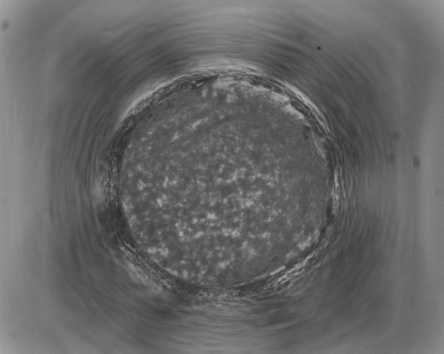 X0000085260775200703231714