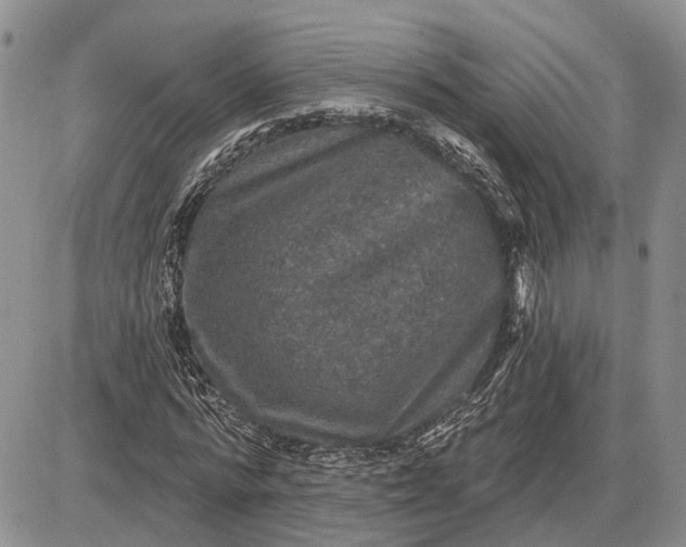 X0000085260776200703231714