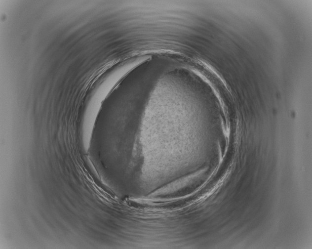 X0000085260777200703231714