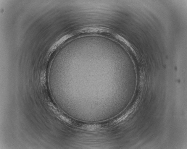 X0000085260778200703231714