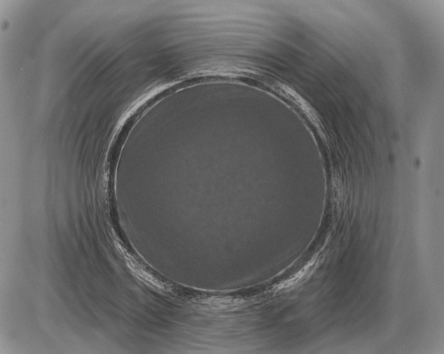 X0000085260779200703231714