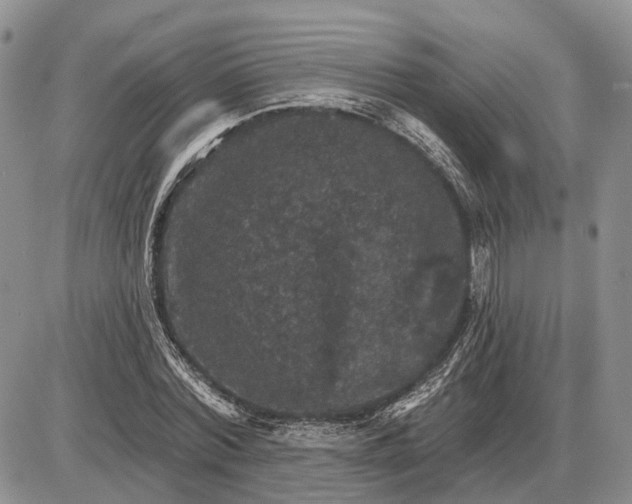 X0000085260780200703231714