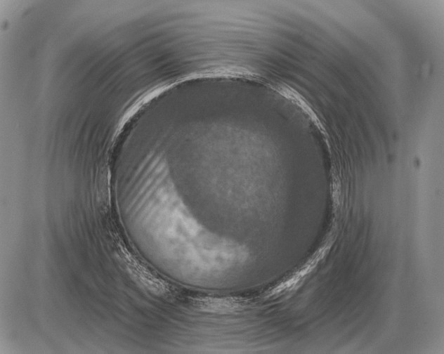 X0000085260781200703231714