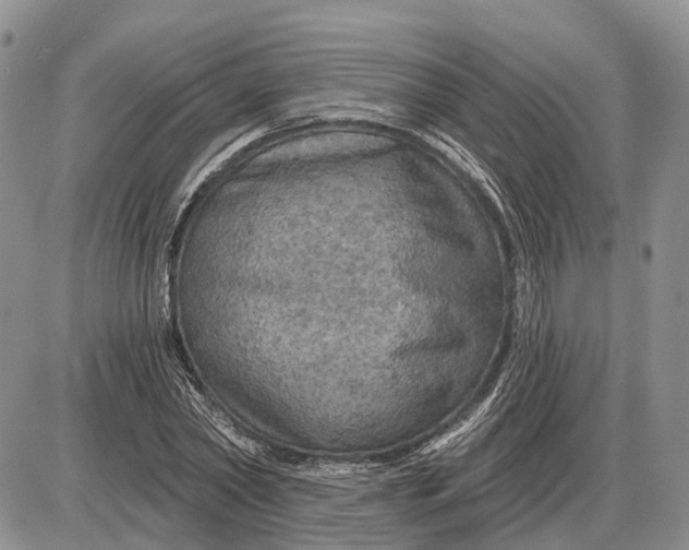 X0000085260782200703231714