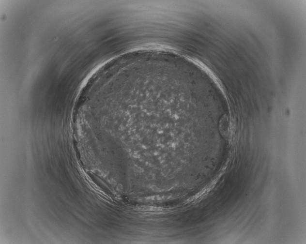 X0000085260783200703231714