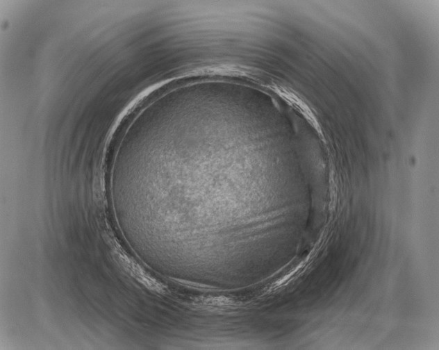 X0000085260784200703231714