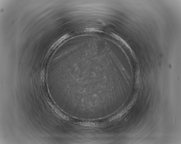 X0000085260785200703231714