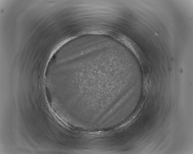 X0000085260787200703231714