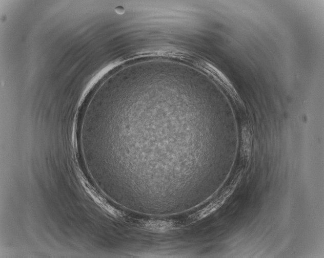 X0000085260788200703231714