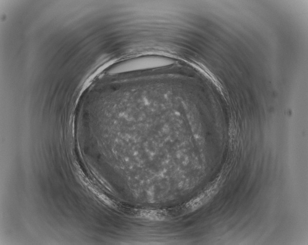 X0000085260790200703231714