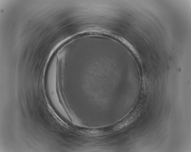 X0000085260791200703231714