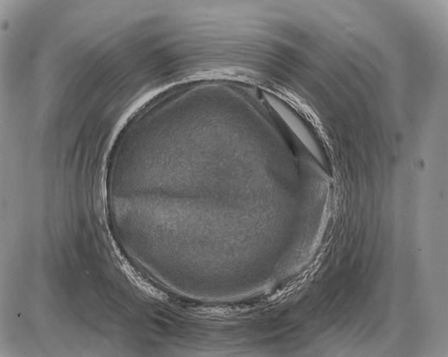 X0000085260792200703231714