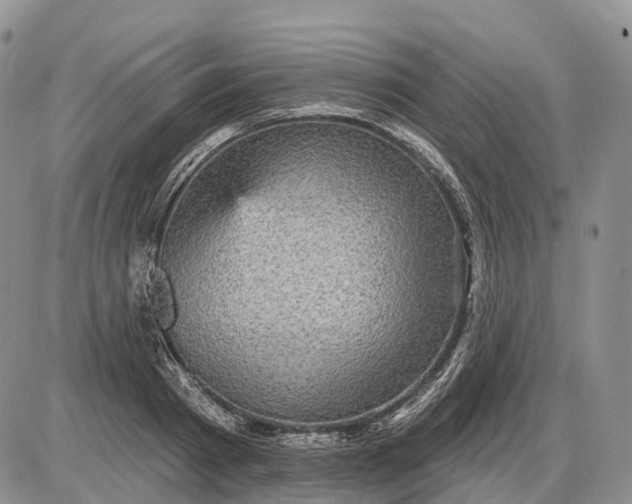 X0000085260793200703231714