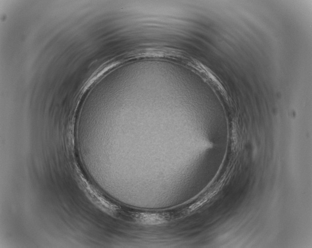 X0000085260794200703231714