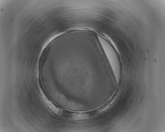 X0000085260795200703231714