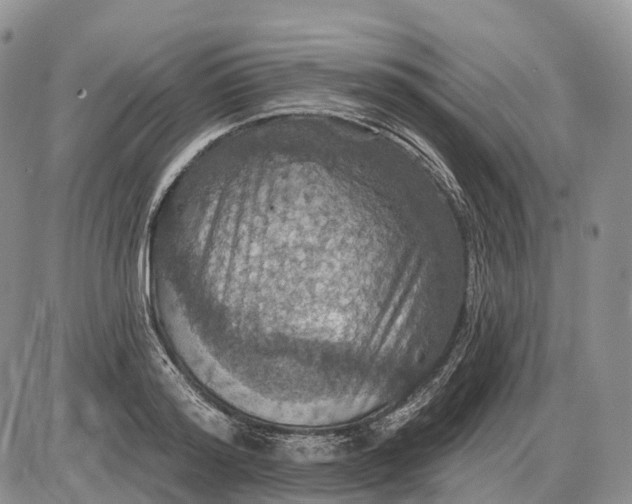 X0000085260796200703231714