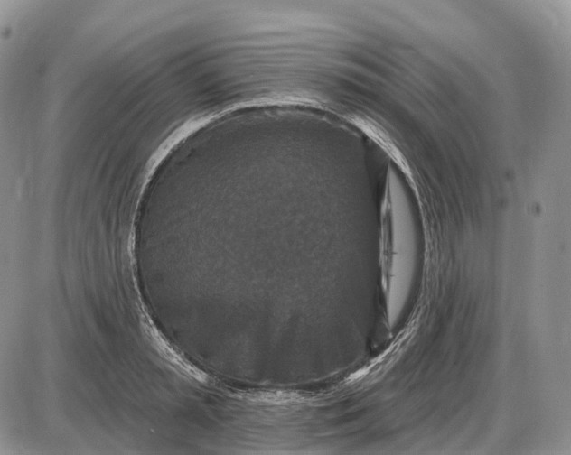 X0000085260797200703231714