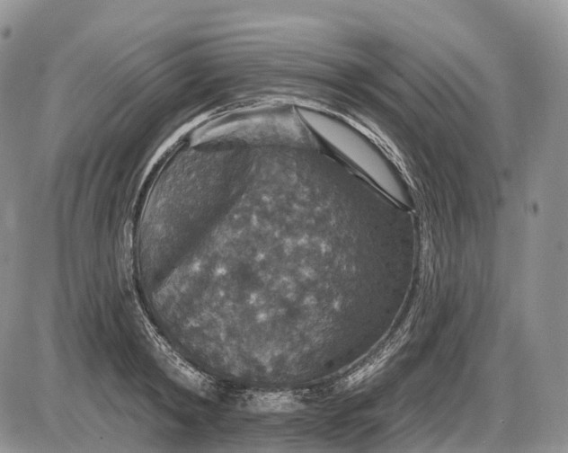 X0000085260798200703231714