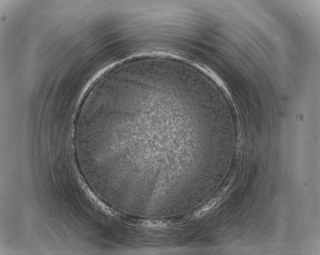 X0000085260799200703231714