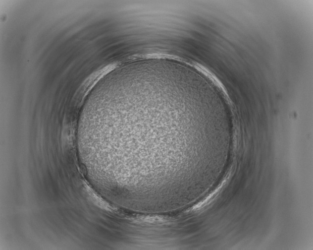 X0000085260801200703231714