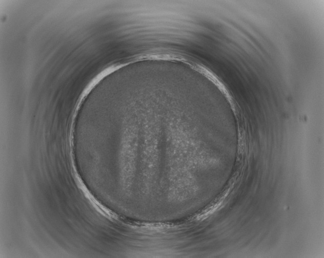 X0000085260803200703231714