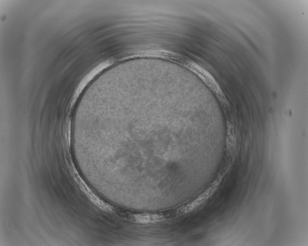 X0000085260804200703231714