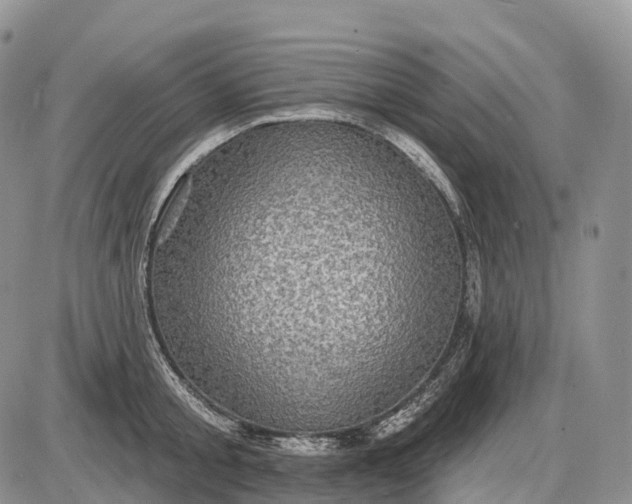 X0000085260805200703231714