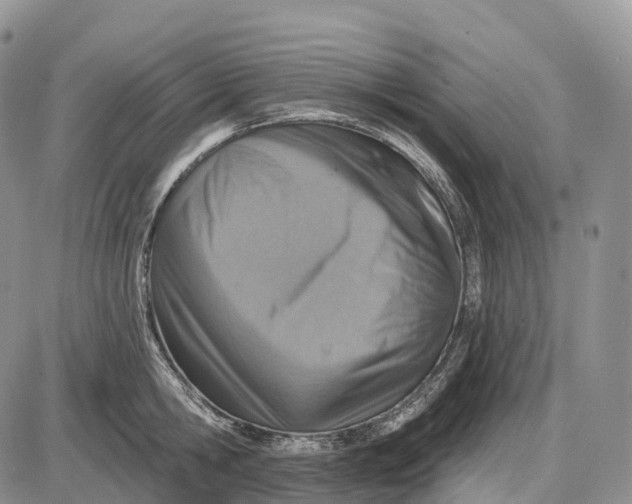 X0000085260806200703231714