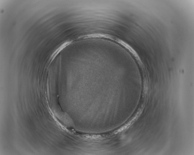 X0000085260809200703231714