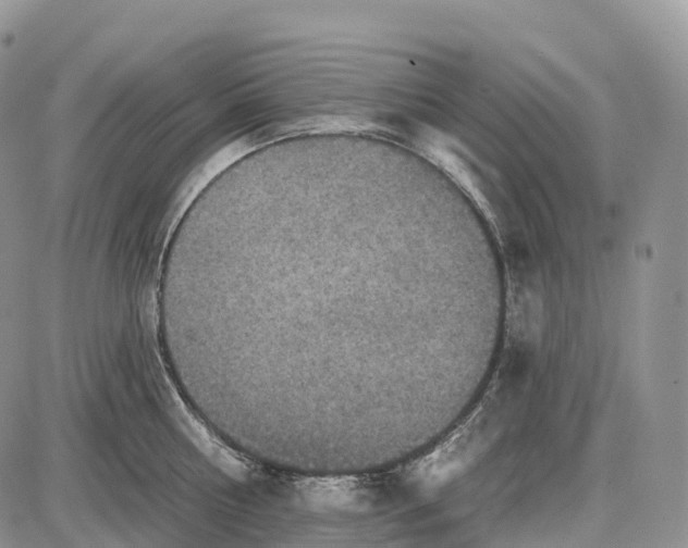 X0000085260810200703231714