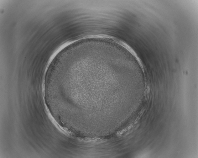 X0000085260811200703231714