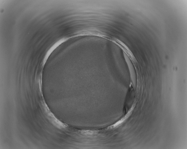 X0000085260812200703231714