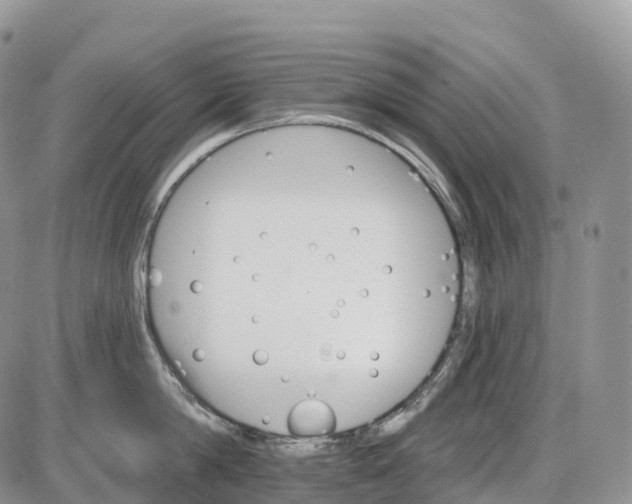 X0000085260814200703231714