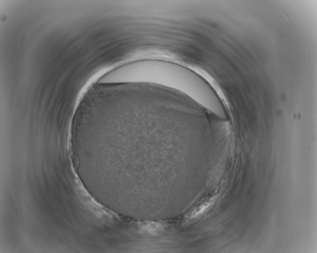 X0000085260815200703231714