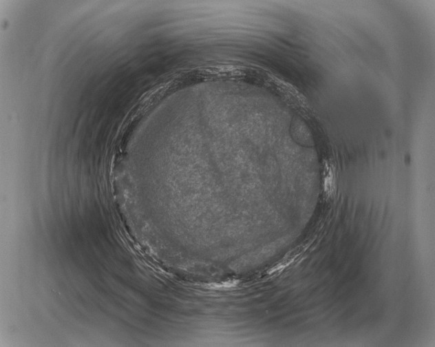 X0000085260819200703231713