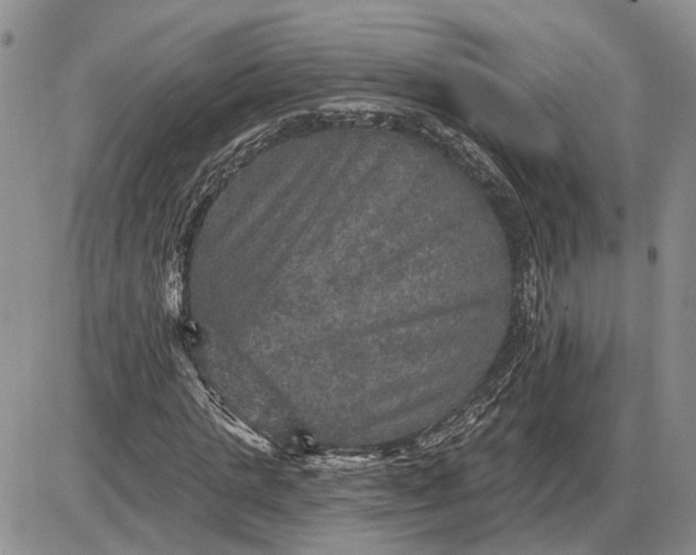 X0000085260821200703231713