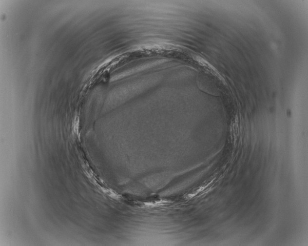 X0000085260822200703231713