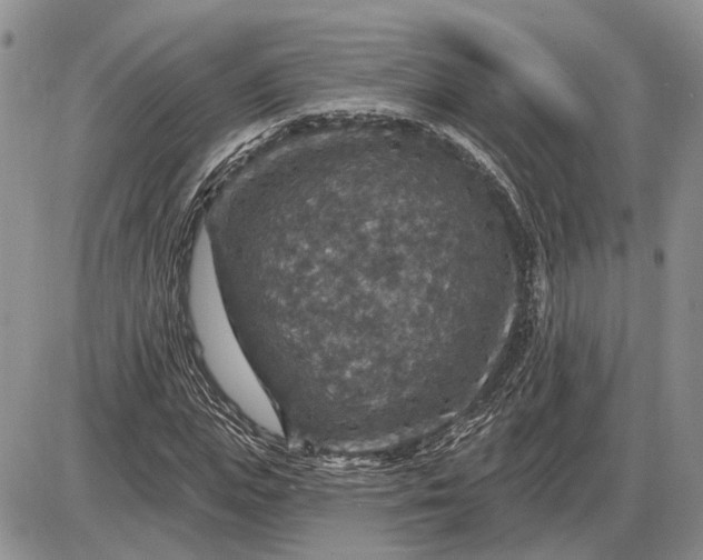 X0000085260823200703231713