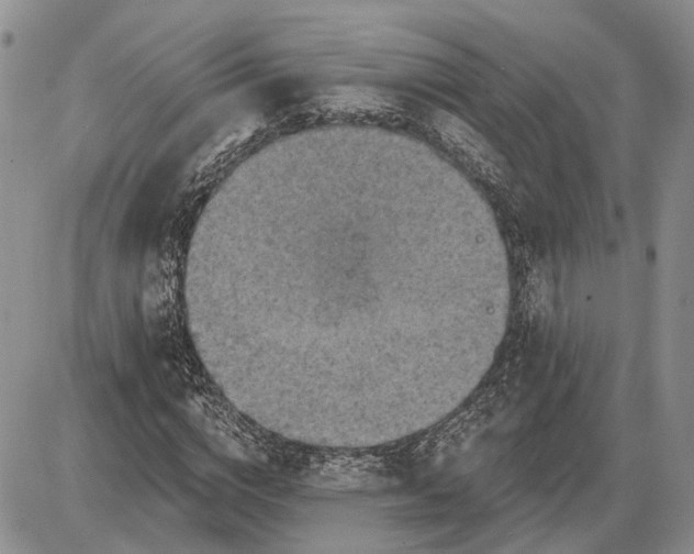 X0000085260824200703231713