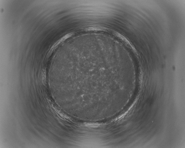 X0000085260825200703231713