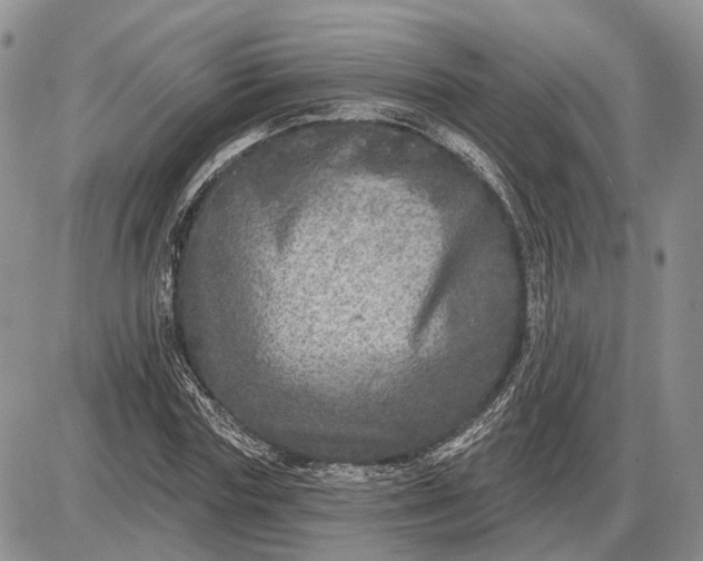 X0000085260827200703231713