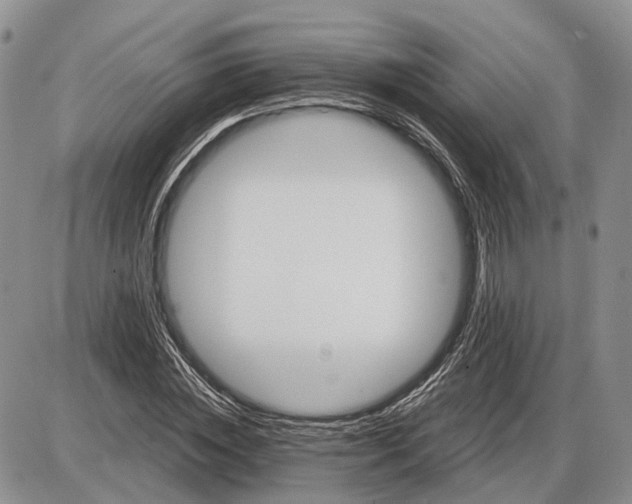 X0000085260828200703231713