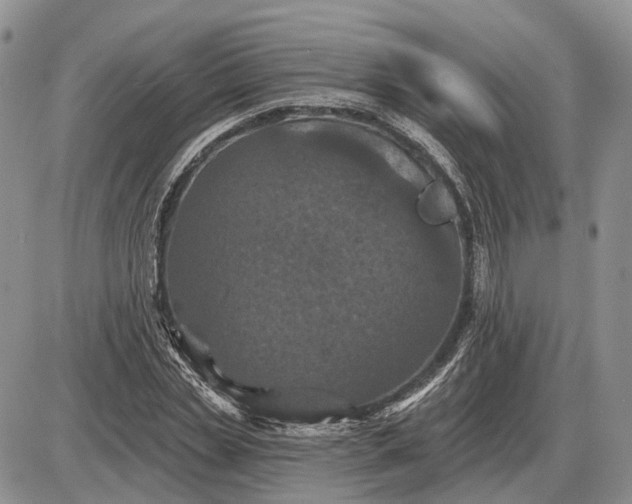 X0000085260829200703231713