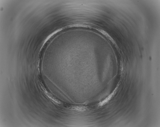 X0000085260830200703231713